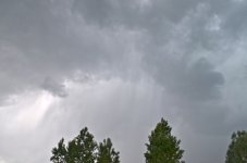 NIK_8970.jpg
