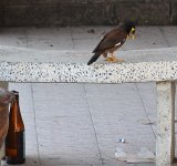 16test4-1.jpg