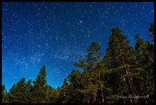 Day168StarTrail.jpg