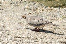 DSC_0627.jpg