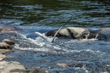 DSC_0637.jpg