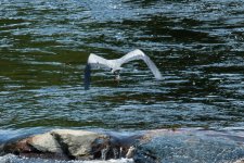 DSC_0638.jpg