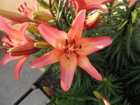 DSCN9158.jpg