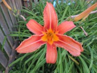DSCN9168.jpg