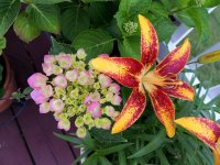 DSCN9175.jpg