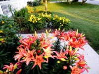 DSCN9178.jpg