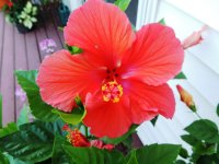 DSCN9170.jpg
