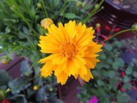 DSCN9173.jpg