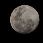 DSC_0658.jpg