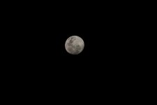 DSC_0654.jpg