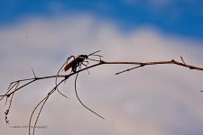 07-26-2020-cr_D7K3592-ON1.jpg
