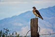 07-26-2020-cr_D7K3608-ON1.jpg