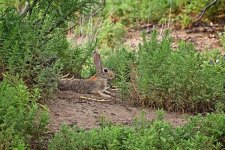 07-27-2020-cr_D7K3614-ON1.jpg