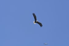 _DSC0413 low res.jpg