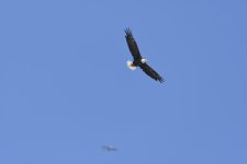 _DSC0414 low res.jpg