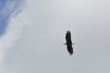 _DSC0415 low res.jpg