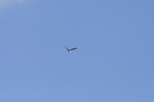 _DSC0419 low res.jpg