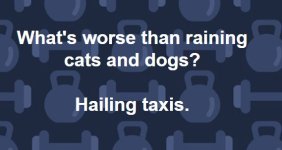 taxi.JPG