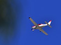 _ROY8951_00001.jpg