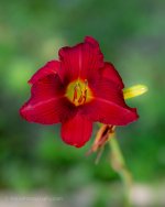 DSC_0249.jpg