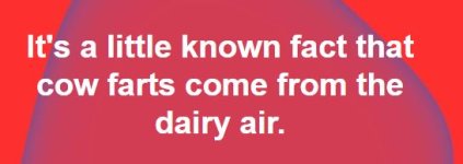 COW.JPG