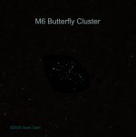 Butterfly Cluster2 N FR_500 3167.jpg