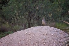 07-31-2020-cr_D7K3615-ON1.jpg