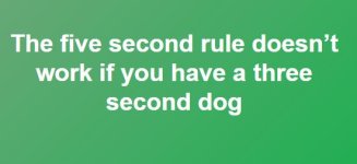 FIVE.JPG