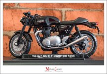 triumph-1.jpg