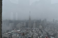 2019-12-11 12.26.51-SF-fog-s.jpg