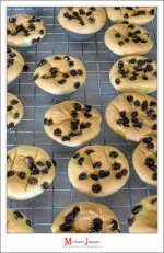 muffin-2.jpg
