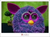 furby-1.jpg