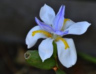 _ROY9571_00001.jpg