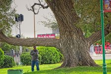 08-02-2020-cr_D7K3636-ON1.jpg