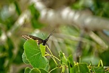 08-06-2020-cr_D7K3657-ON1.jpg