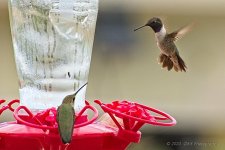 08-09-2020-cr_D7K3677-ON1.jpg