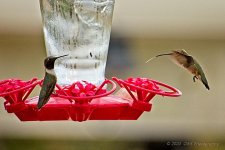 08-09-2020-cr_D7K3694-ON1.jpg