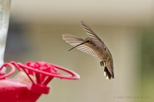 08-09-2020-cr_D7K3696-ON1.jpg