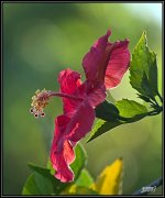 _71D3451_web.jpg