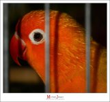 eye-1-3.jpg