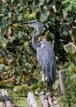 _DSC0856 low res.jpg
