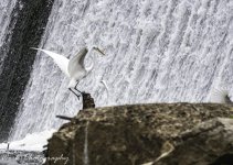 20200812-RD5_1676.jpg