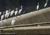 20200812-RD5_1617-Edit.jpg