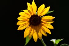 _ROY0126_00001.jpg