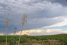 08-15-2020-cr_7502910_ON1.jpg
