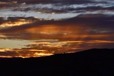 _ROY0244_00001.jpg