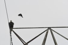 _DSC0990 low res.jpg