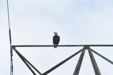 _DSC1200 low res.jpg