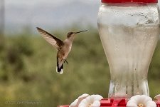 08-16-2020-cr_7502933_ON1.jpg