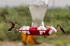 08-16-2020-cr_7502937_ON1.jpg